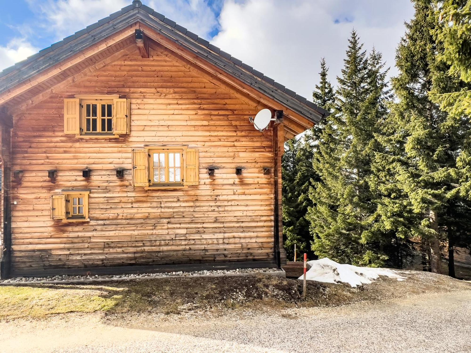 1A Chalet Enzianhuette - Ski Fahren Und Indoor Sauna Villa Elsenbrunn Exterior foto