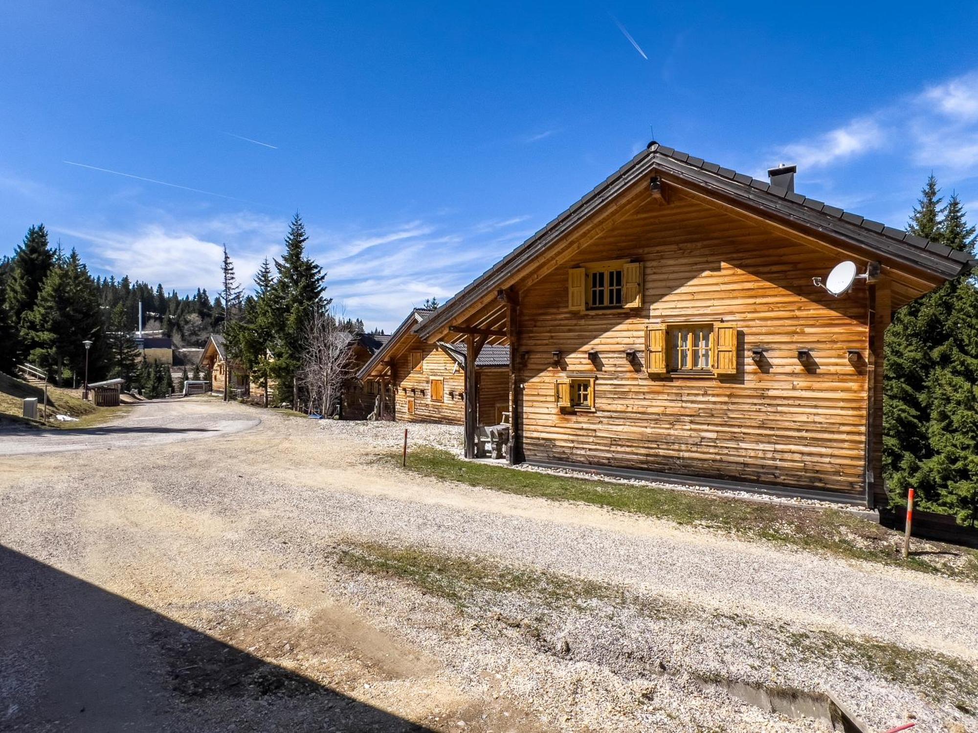 1A Chalet Enzianhuette - Ski Fahren Und Indoor Sauna Villa Elsenbrunn Exterior foto